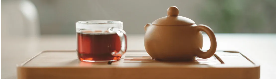 SnapStay  Co-Working Cafe & Community Hub